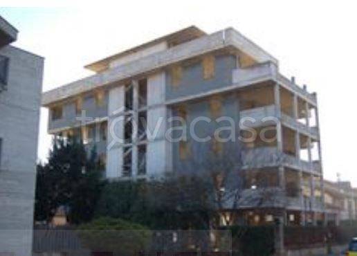 immagine annuncio 2 di 12