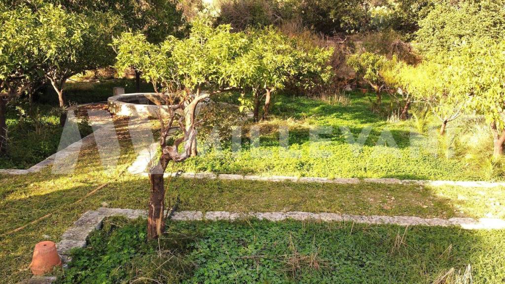 immagine annuncio 10 di 14