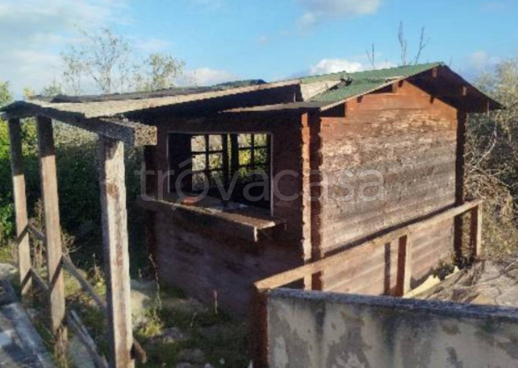 immagine annuncio 2 di 12