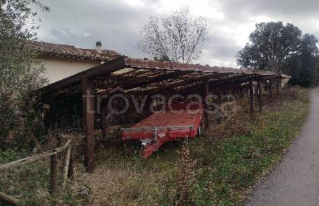 immagine annuncio 5 di 12