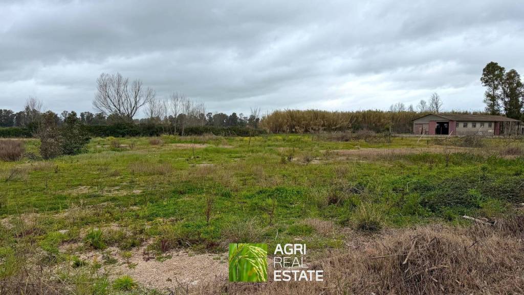 immagine annuncio 1 di 8