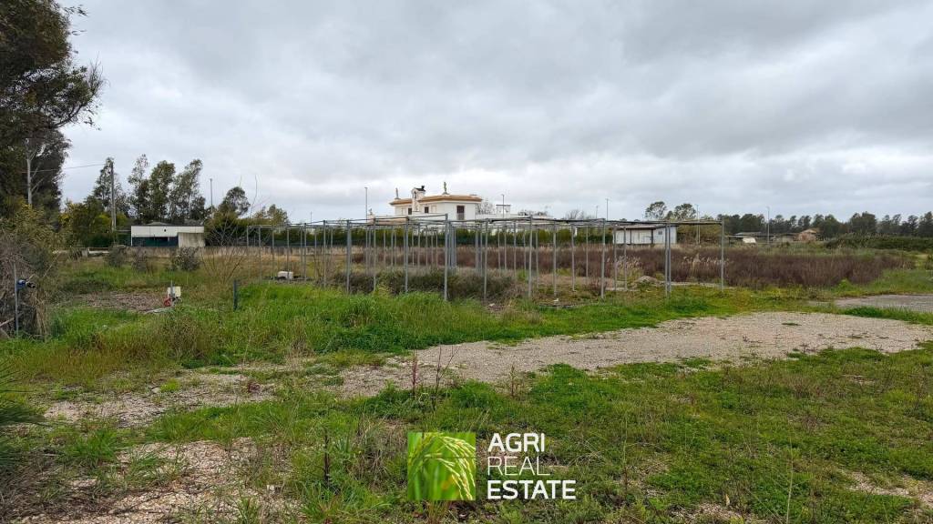 immagine annuncio 2 di 8