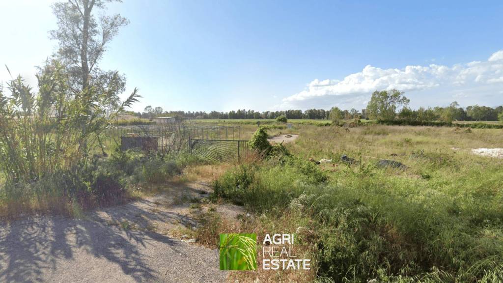 immagine annuncio 3 di 8