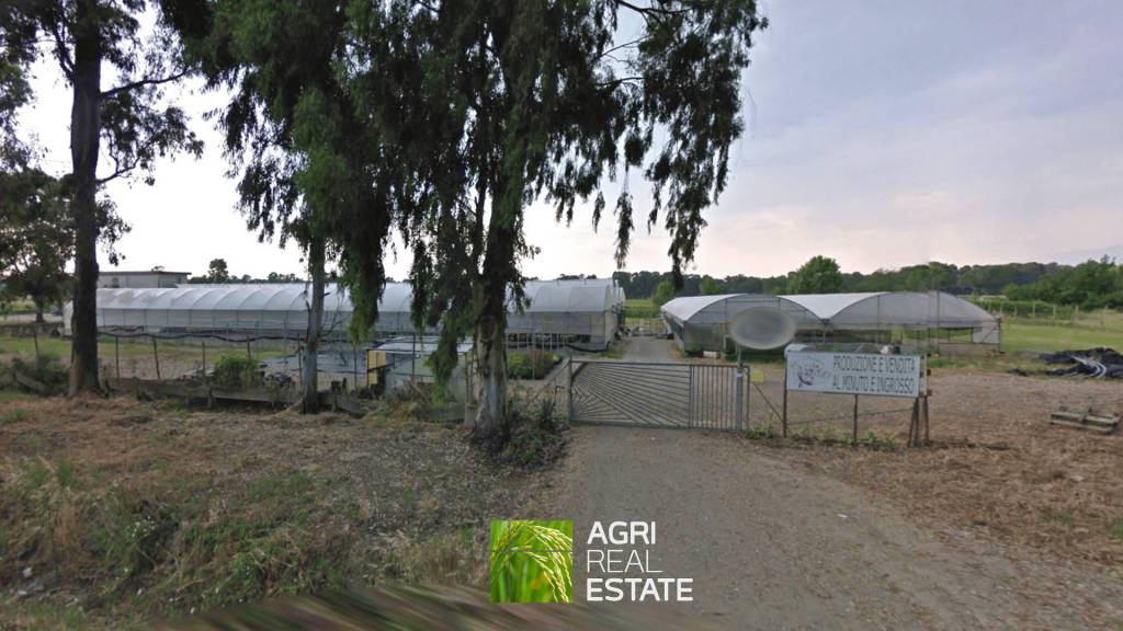 immagine annuncio 4 di 8