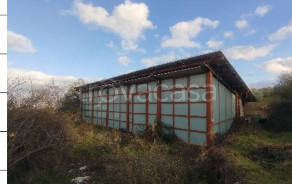 immagine annuncio 10 di 12