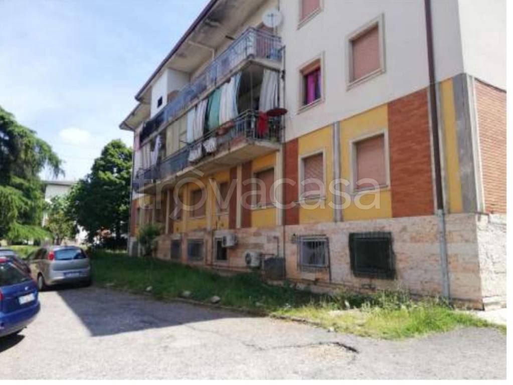 immagine annuncio 3 di 11