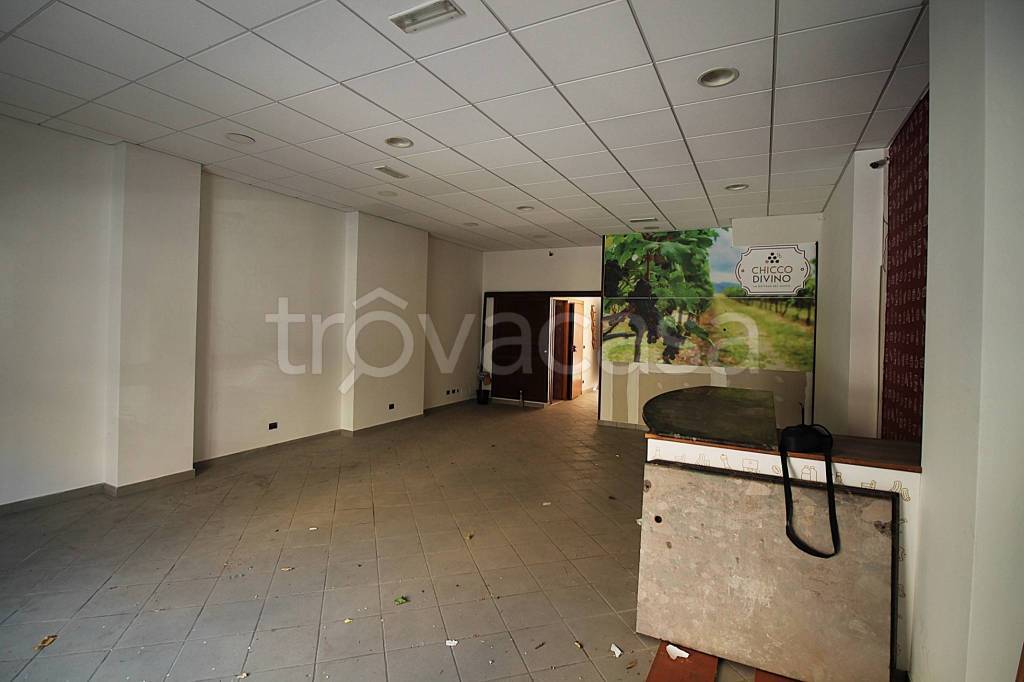 immagine annuncio 2 di 13