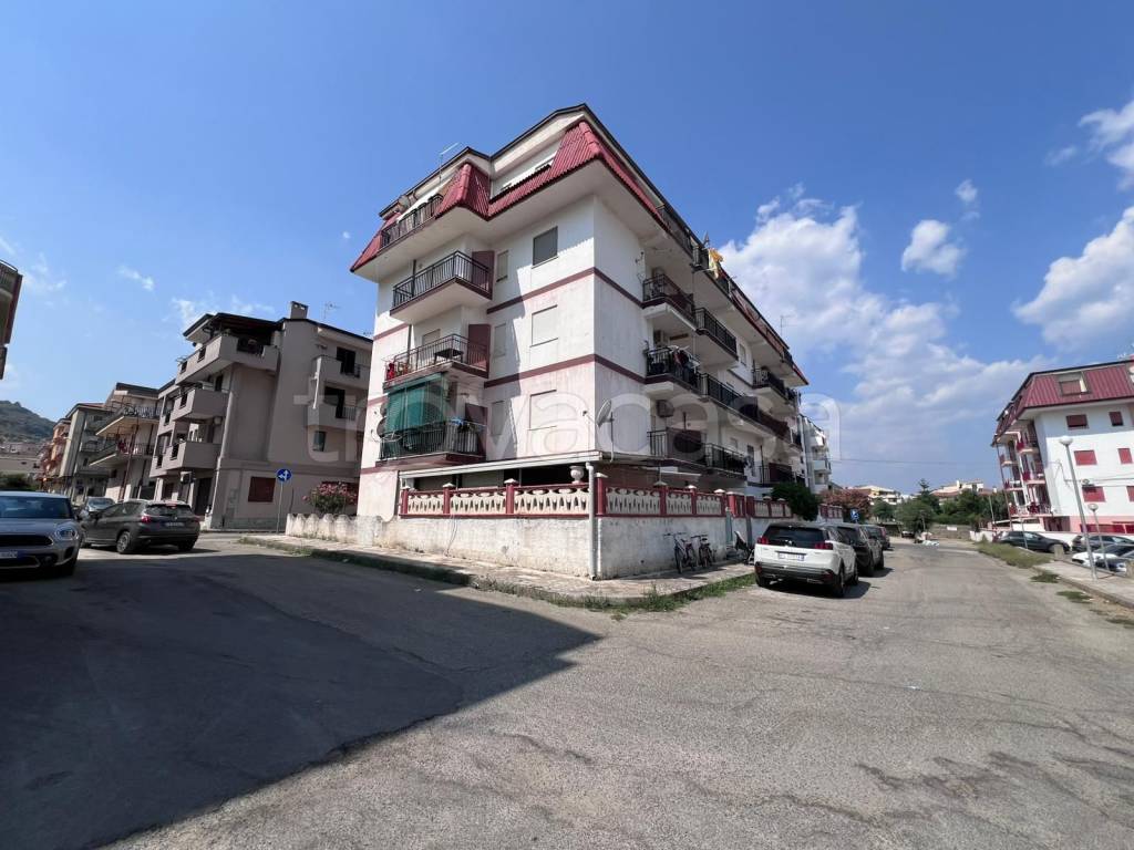 immagine annuncio 12 di 13