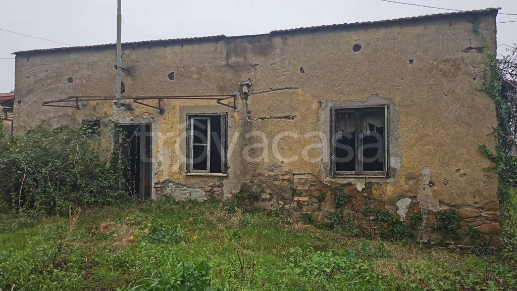 immagine annuncio 4 di 8