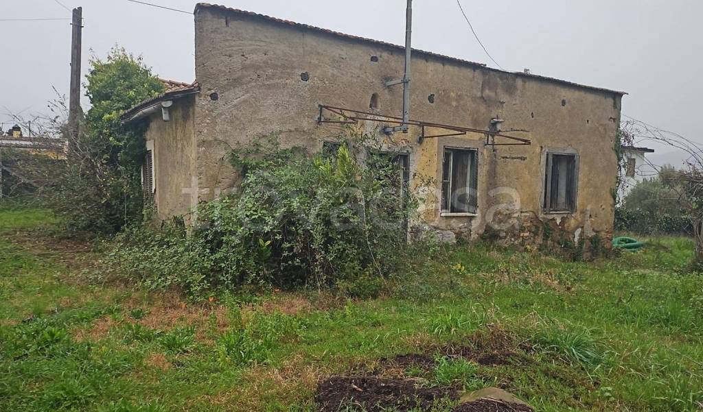 immagine annuncio 5 di 8