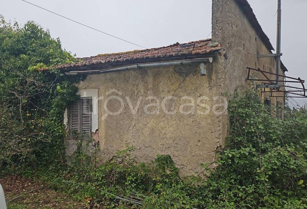 immagine annuncio 6 di 8