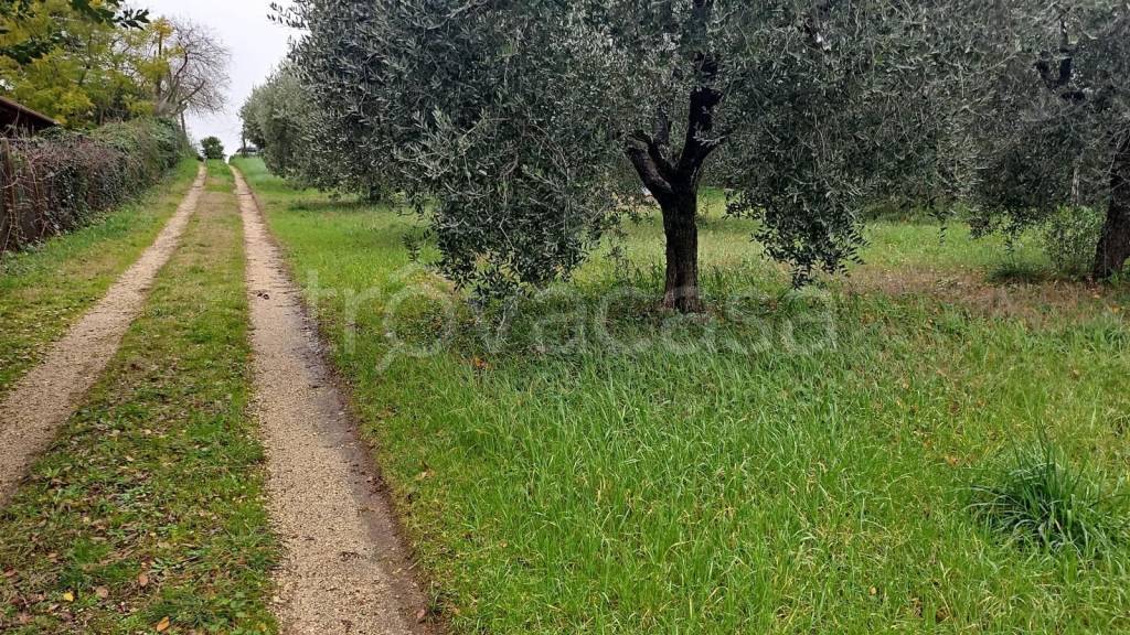 immagine annuncio 7 di 8