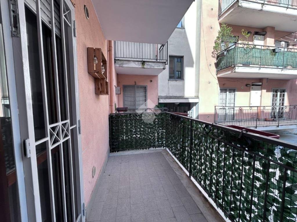 immagine annuncio 3 di 14