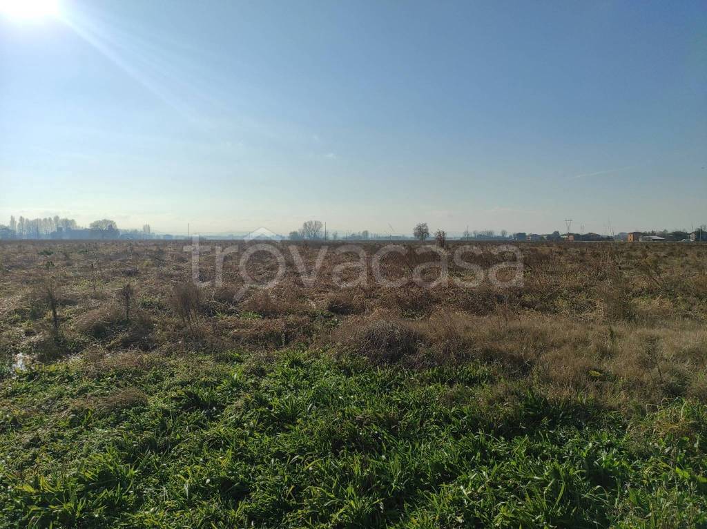 immagine annuncio 3 di 8