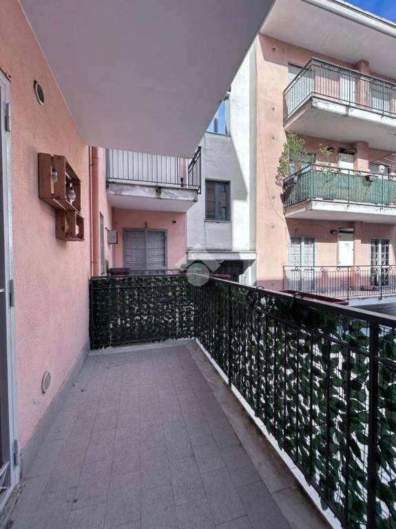 immagine annuncio 5 di 14