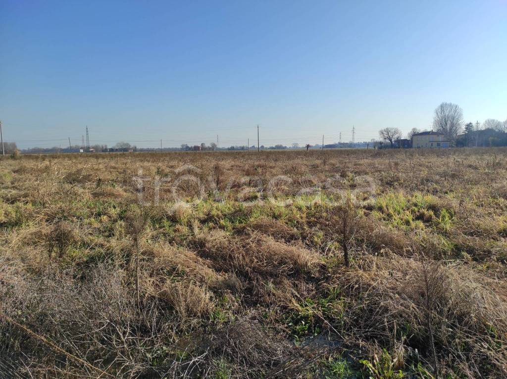 immagine annuncio 4 di 8