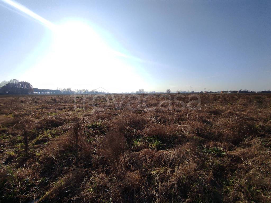 immagine annuncio 6 di 8