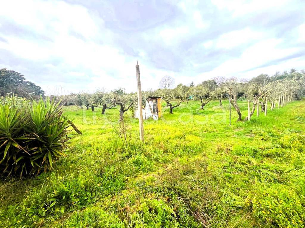 immagine annuncio 4 di 9