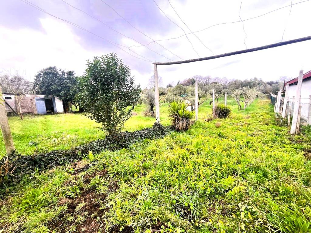 immagine annuncio 7 di 9