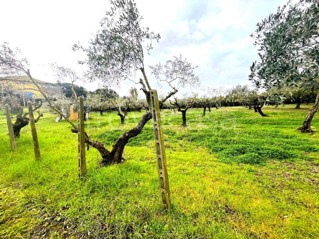 immagine annuncio 8 di 9