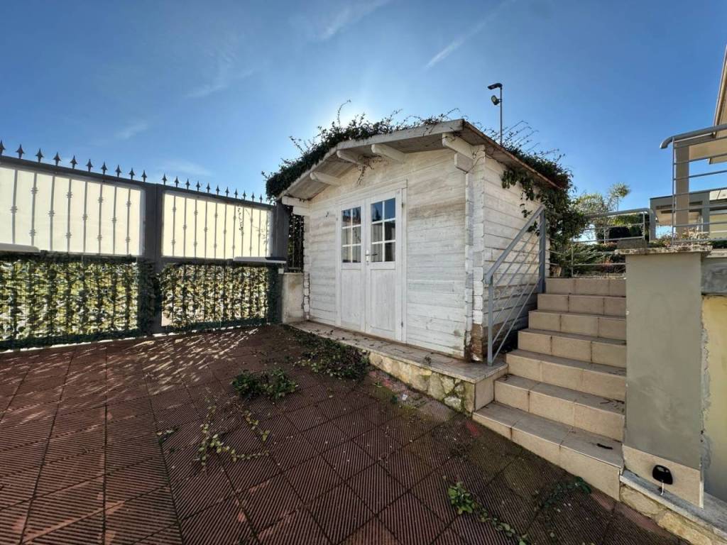 immagine annuncio 7 di 15