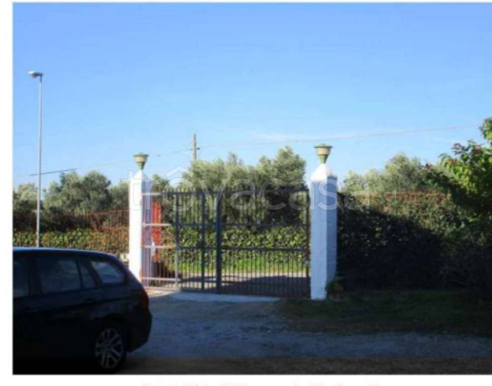 immagine annuncio 2 di 14