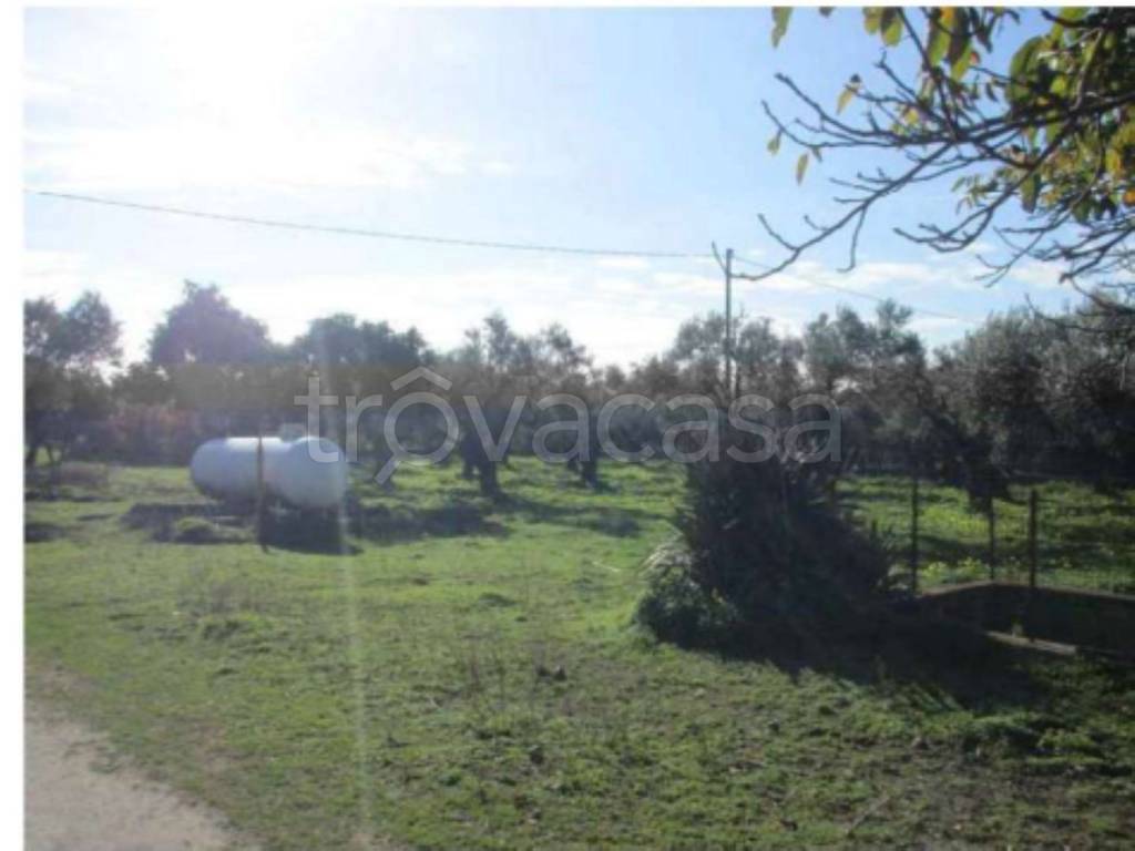 immagine annuncio 3 di 14