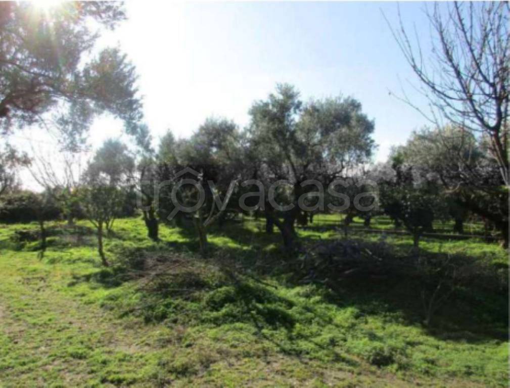 immagine annuncio 5 di 14