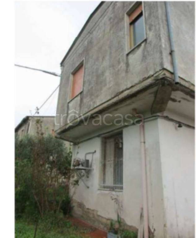 immagine annuncio 6 di 14