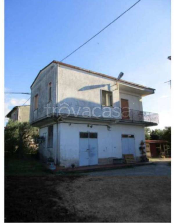 immagine annuncio 7 di 14