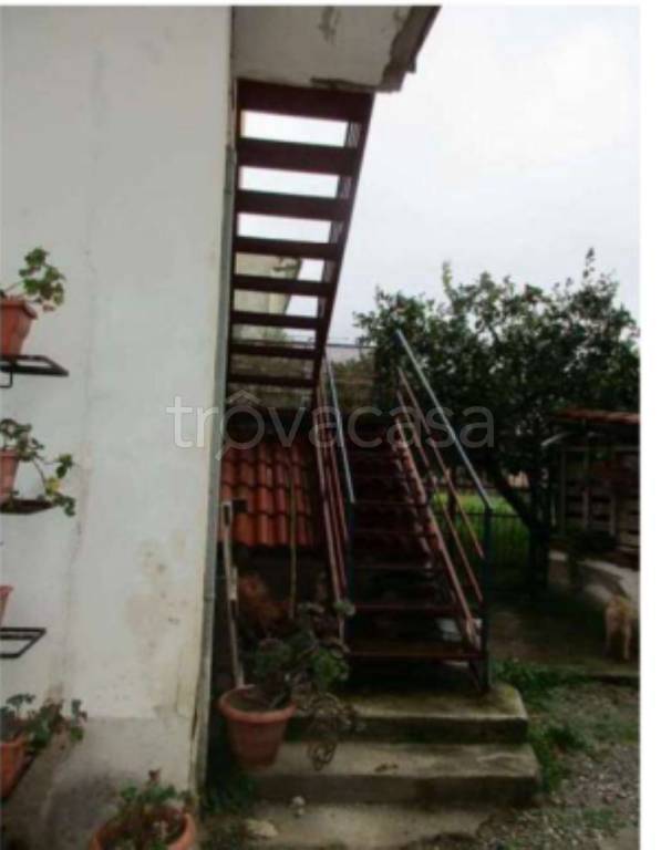 immagine annuncio 9 di 14