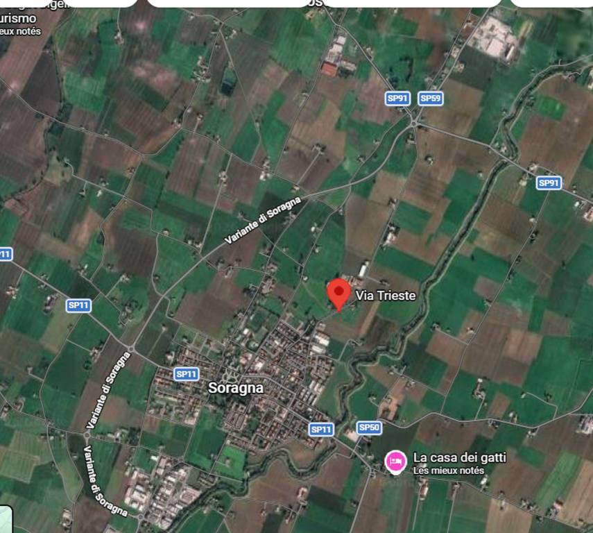 immagine annuncio 3 di 11