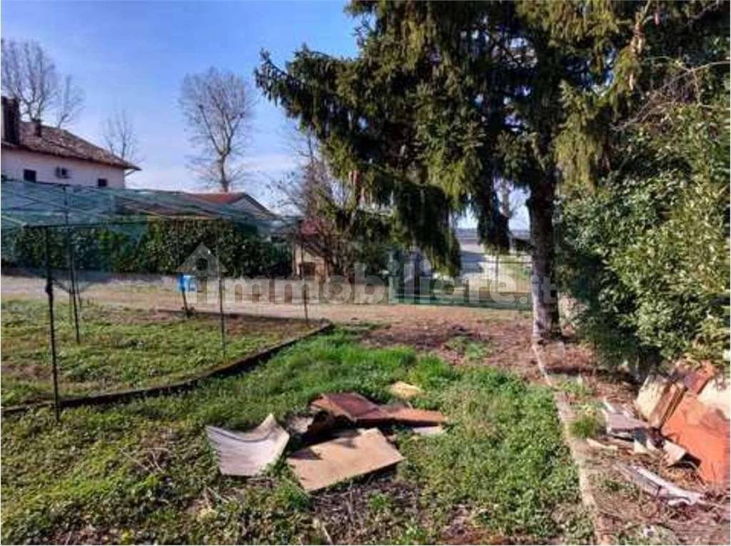 immagine annuncio 9 di 14