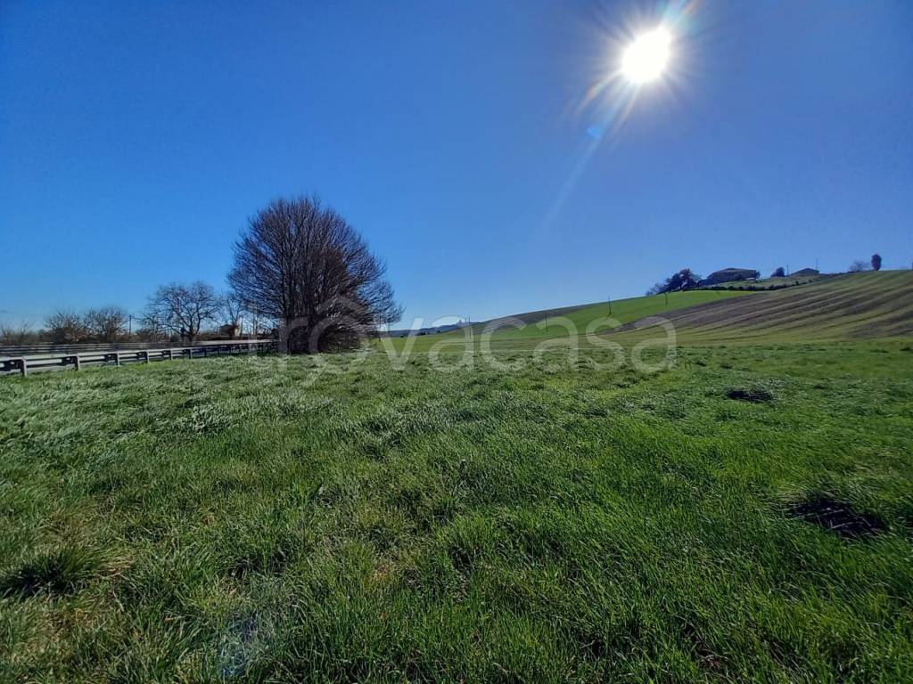 immagine annuncio 5 di 9