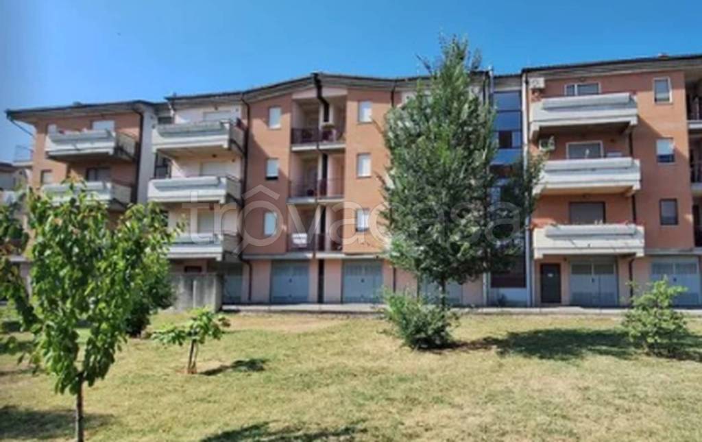 immagine annuncio 9 di 10