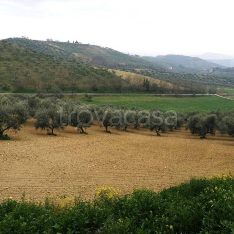 immagine annuncio 4 di 11