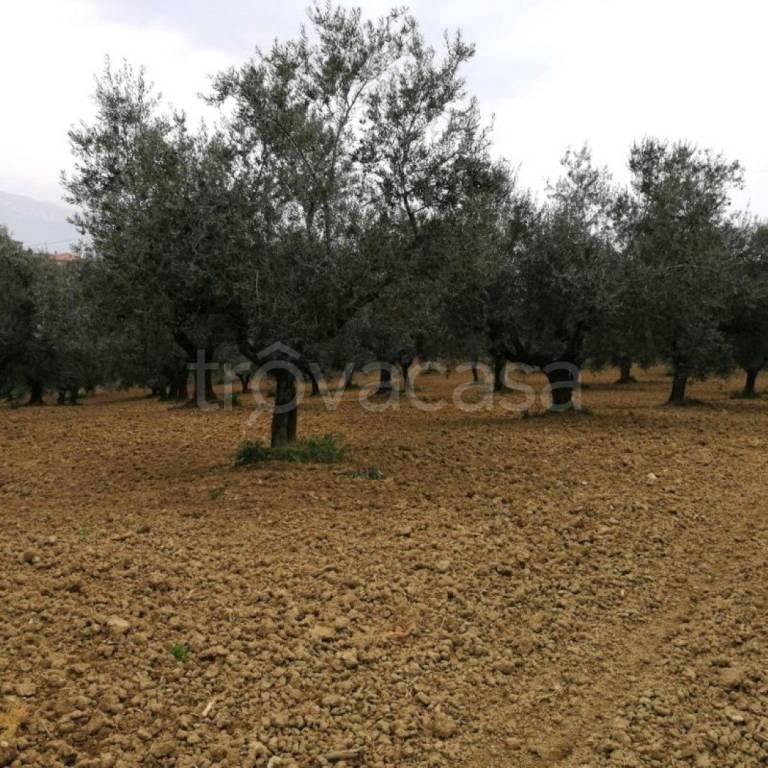 immagine annuncio 5 di 11