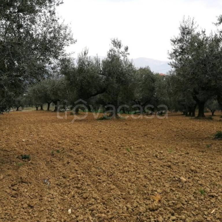 immagine annuncio 6 di 11