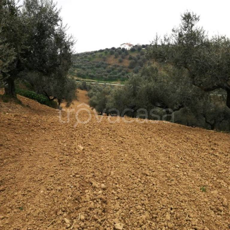 immagine annuncio 7 di 11