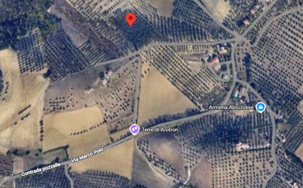 immagine annuncio 8 di 11