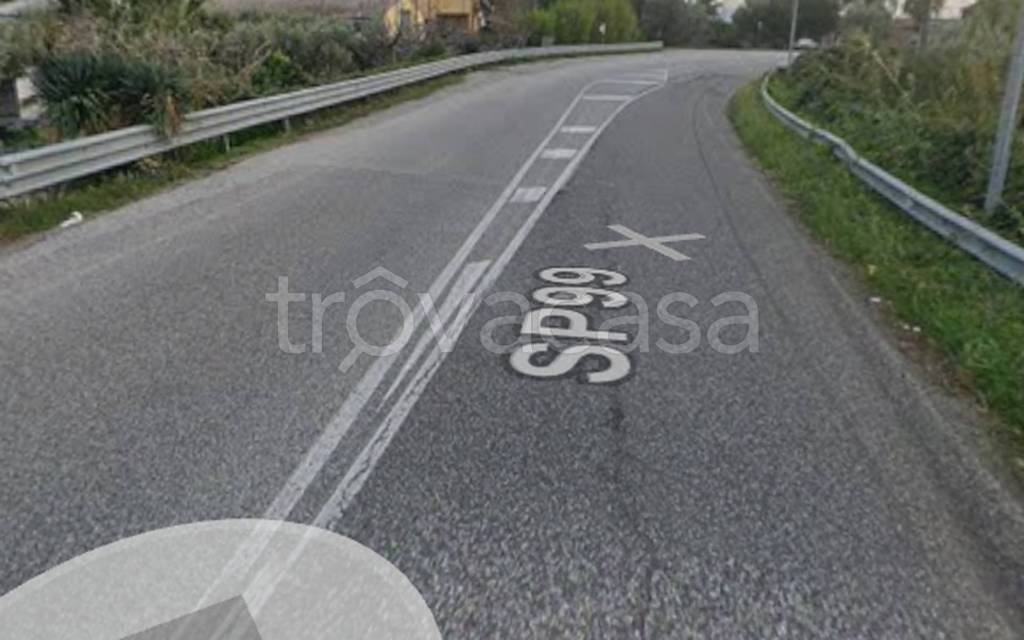 immagine annuncio 3 di 12