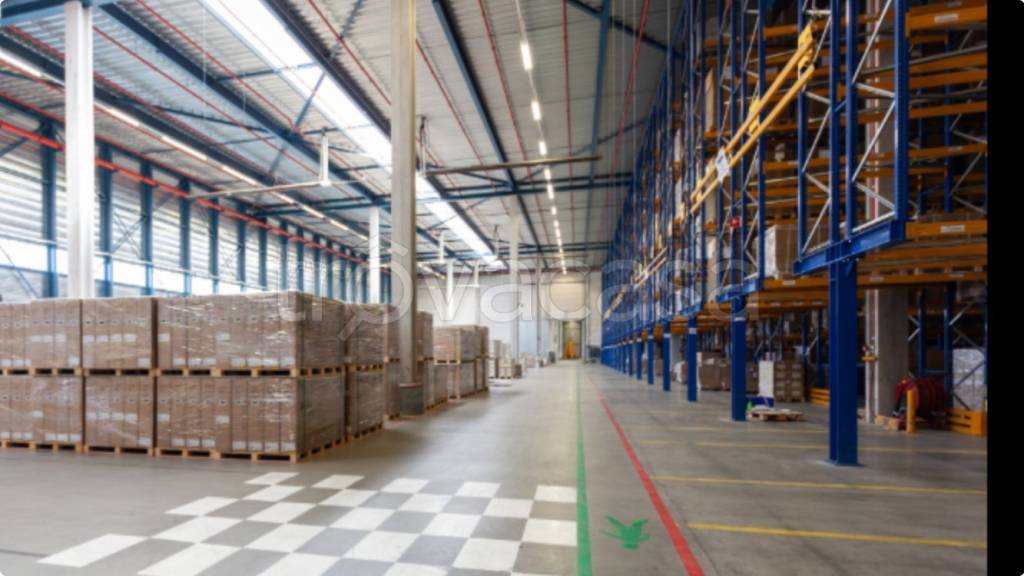 immagine annuncio 6 di 14