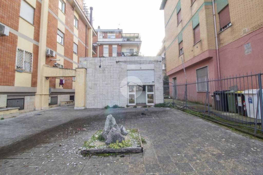 immagine annuncio 9 di 11