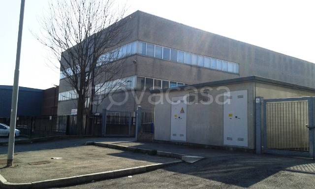 immagine annuncio 2 di 15