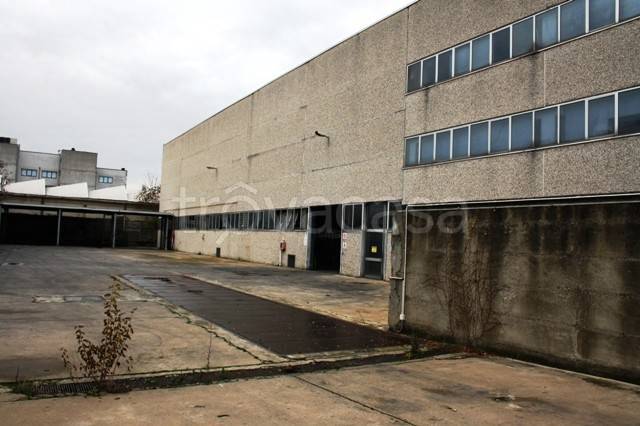 immagine annuncio 4 di 15