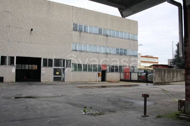 immagine annuncio 9 di 15