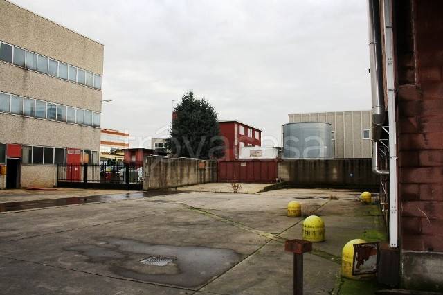 immagine annuncio 13 di 15