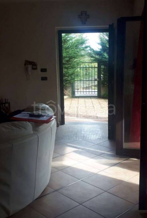 immagine annuncio 6 di 12