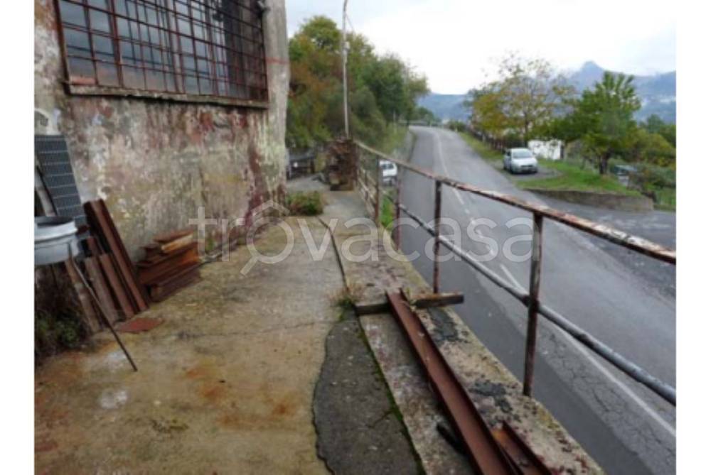 immagine annuncio 2 di 12