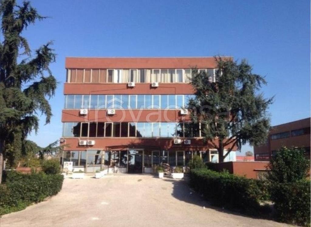 immagine annuncio 3 di 9